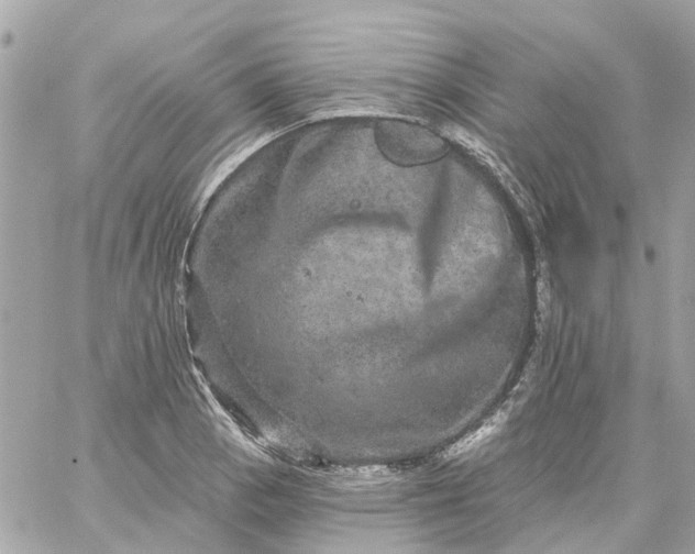 X0000059241129200510281924