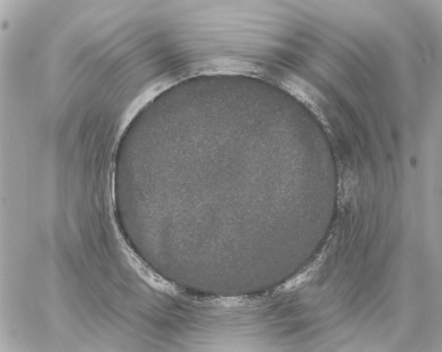 X0000059241130200510281924