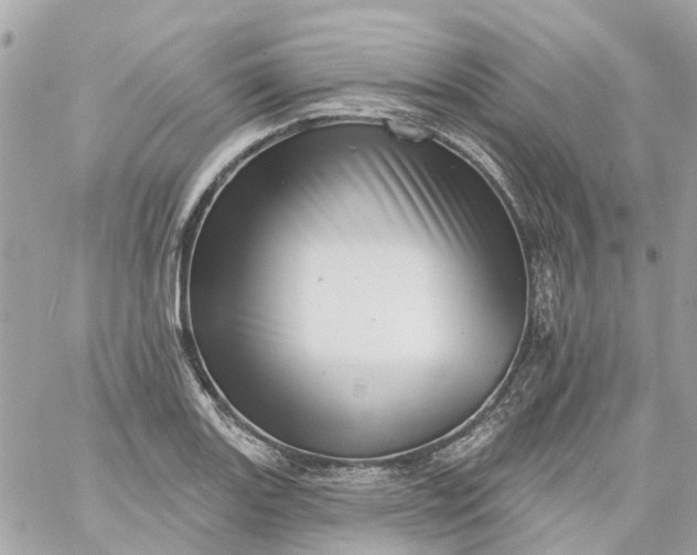 X0000059241131200510281924