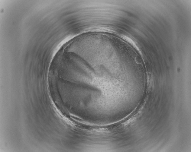 X0000059241133200510281924