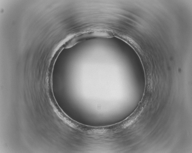 X0000059241134200510281924