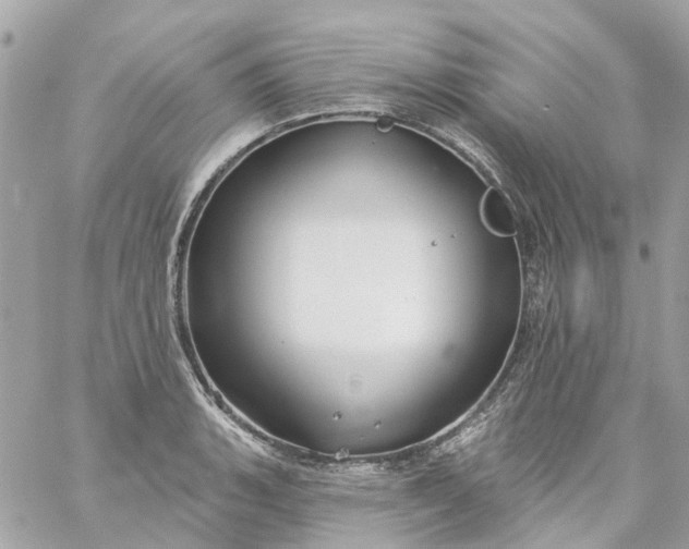 X0000059241135200510281924