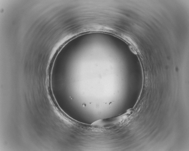 X0000059241136200510281924