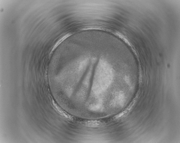 X0000059241137200510281924