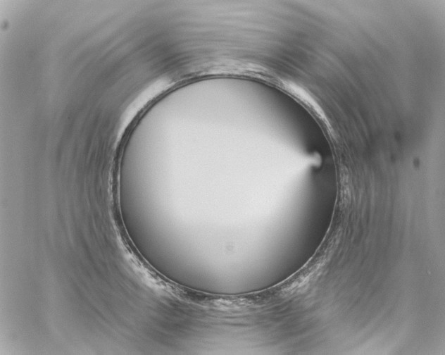 X0000059241138200510281924