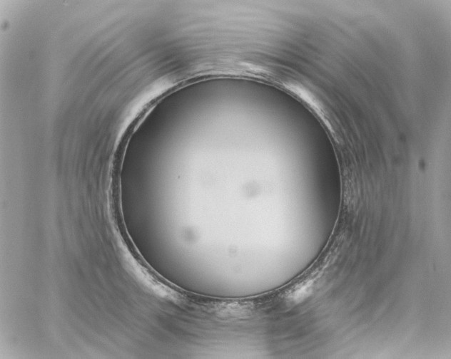 X0000059241139200510281924