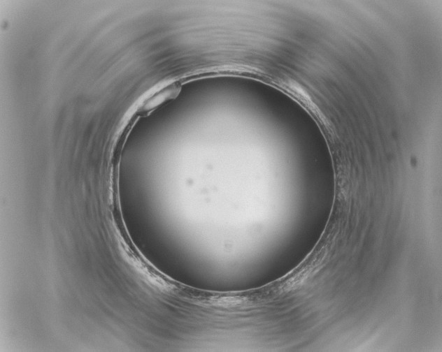 X0000059241140200510281924