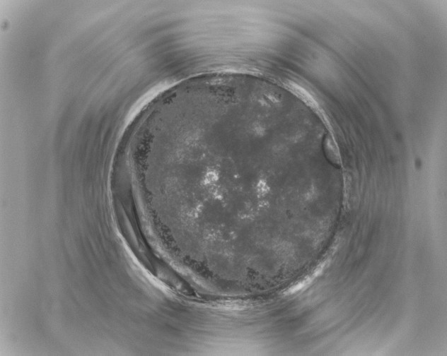 X0000059241141200510281924