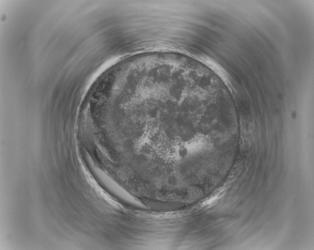 X0000059241142200510281924