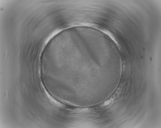 X0000059241143200510281924