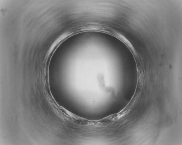 X0000059241146200510281924