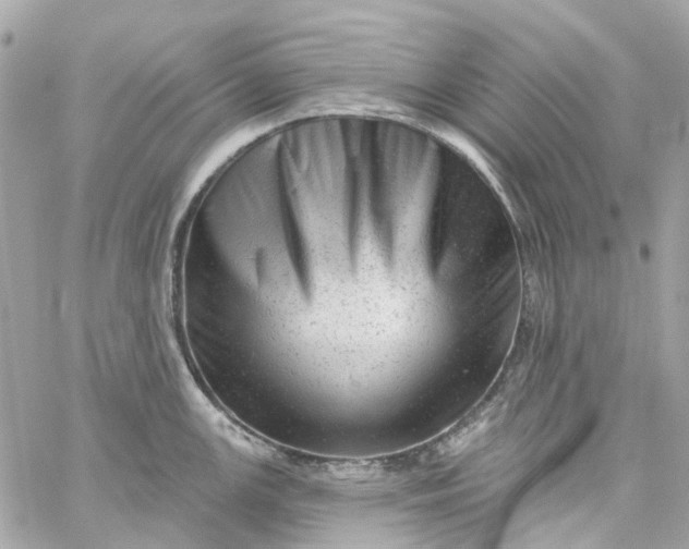 X0000059241147200510281924