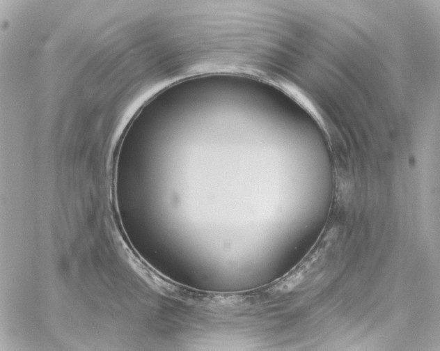 X0000059241148200510281924