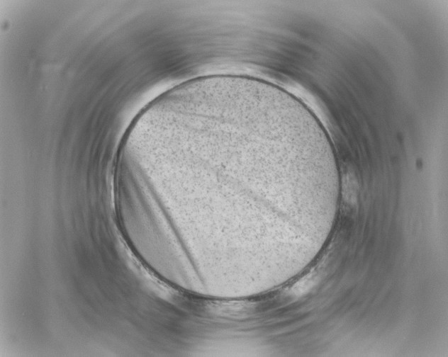 X0000059241150200510281924