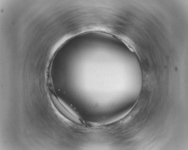 X0000059241151200510281924