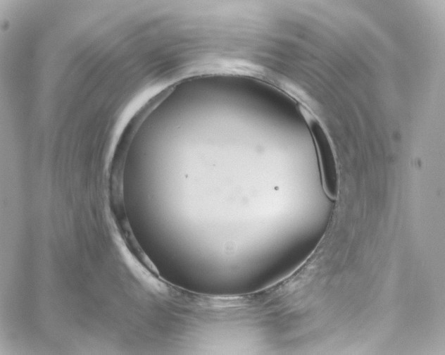 X0000059241152200510281924