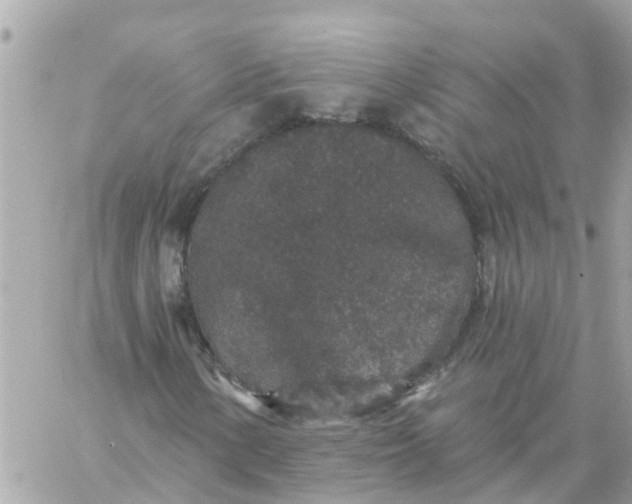 X0000059241154200510281923