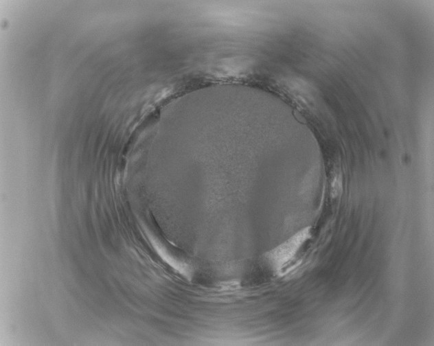 X0000059241156200510281923