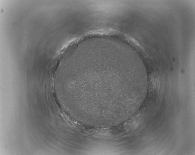 X0000059241158200510281923