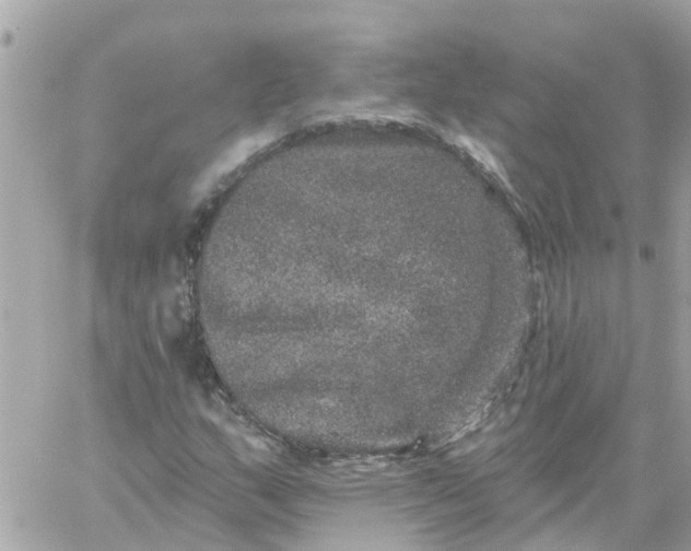 X0000059241159200510281923