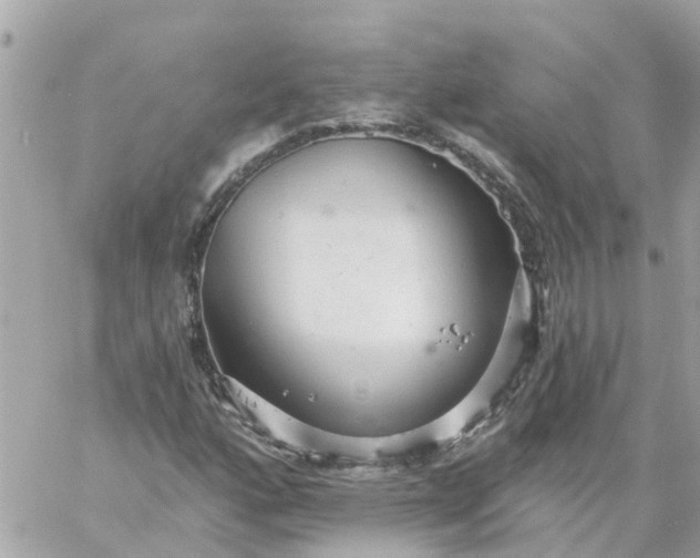 X0000059241160200510281923