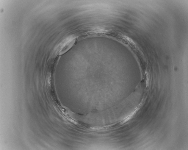 X0000059241161200510281923