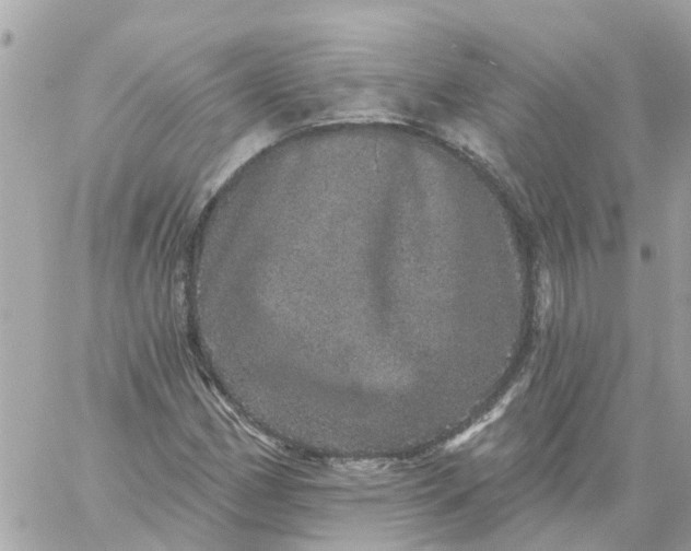 X0000059241162200510281923