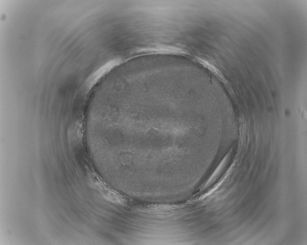 X0000059241163200510281923