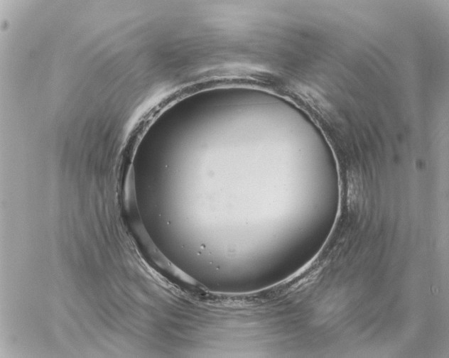 X0000059241164200510281923