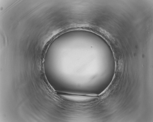 X0000059241165200510281923