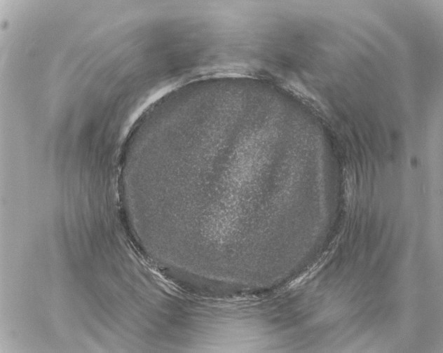 X0000059241166200510281923