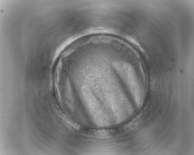 X0000059241167200510281923