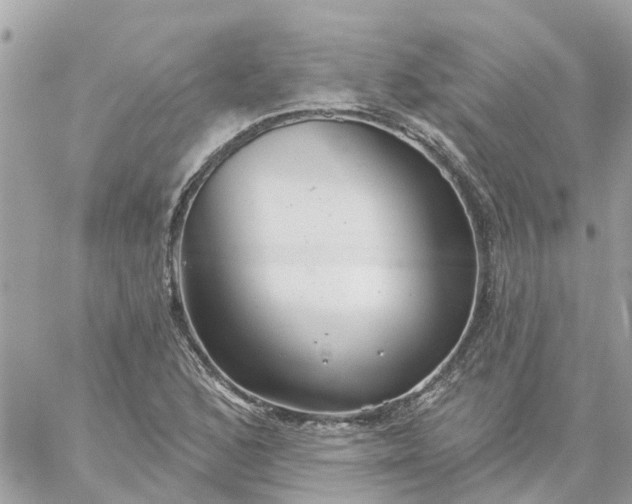 X0000059241168200510281923