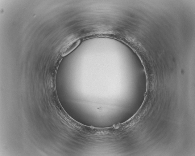 X0000059241169200510281923