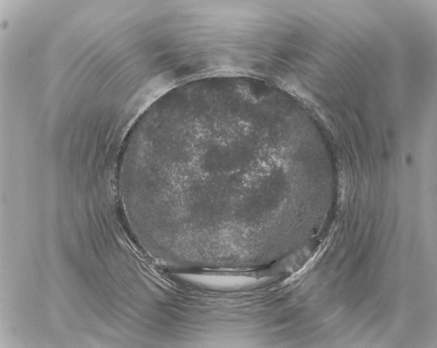 X0000059241170200510281923