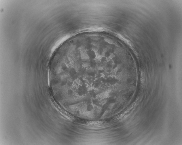 X0000059241171200510281923