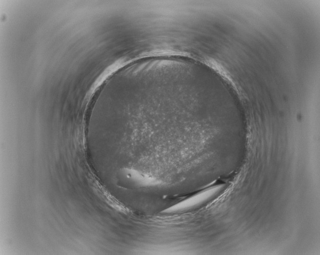 X0000059241173200510281923