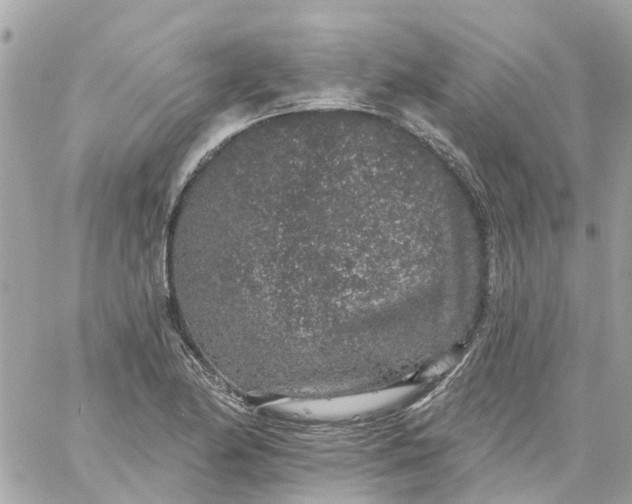 X0000059241174200510281923