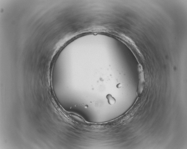 X0000059241176200510281923