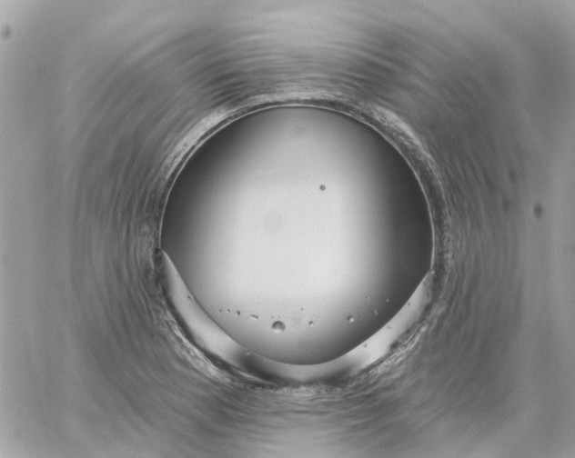 X0000059241177200510281923