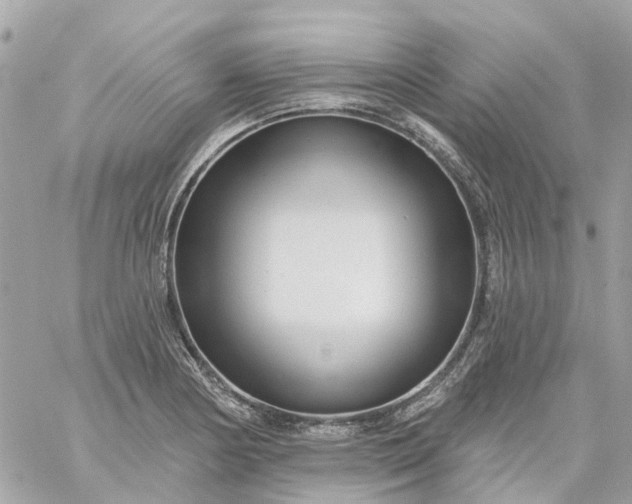 X0000059241178200510281923