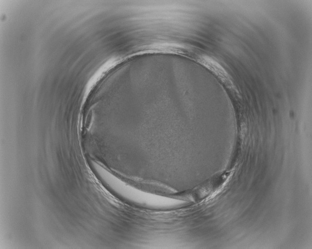 X0000059241180200510281923