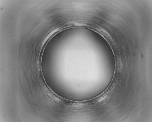 X0000059241182200510281923