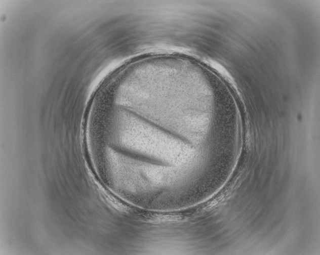 X0000059241183200510281923