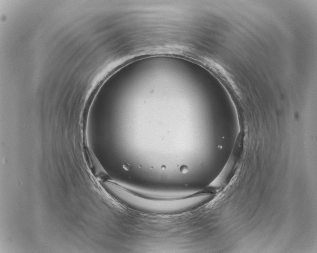 X0000059241184200510281923