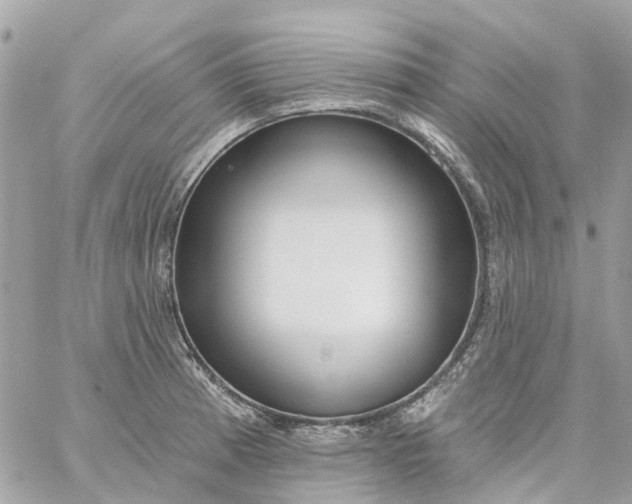 X0000059241185200510281923