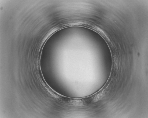 X0000059241186200510281923