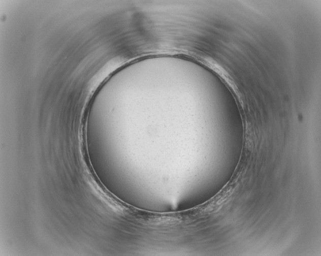 X0000059241187200510281923