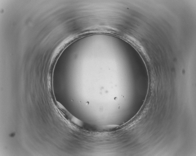 X0000059241188200510281923