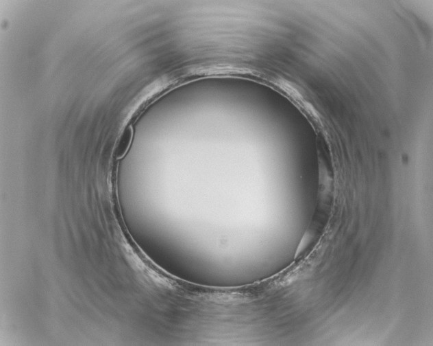 X0000059241189200510281923